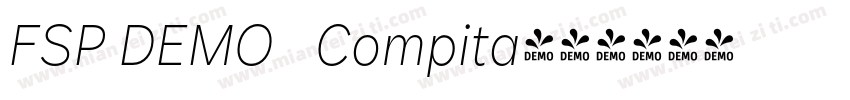 FSP DEMO   Compita字体转换